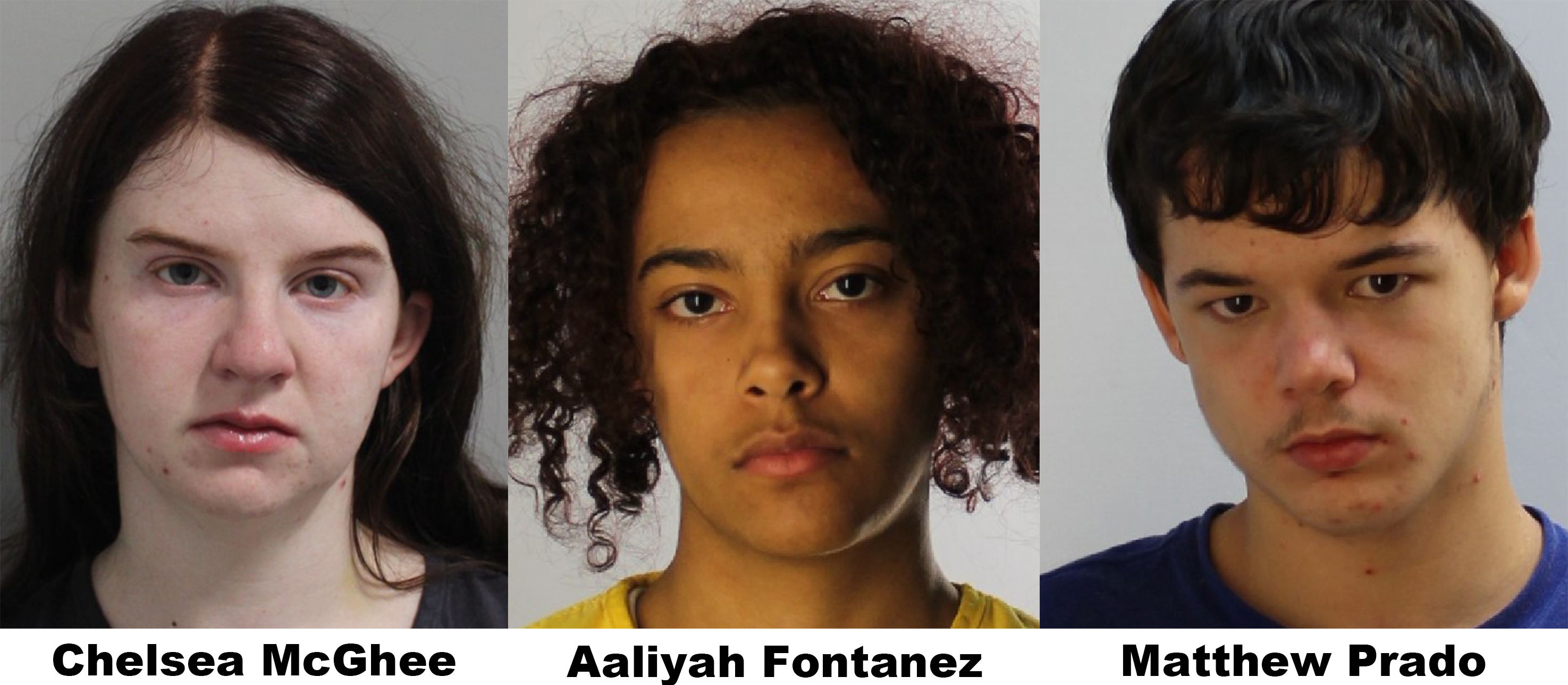 McGhee Fontanez and Prado mugshots